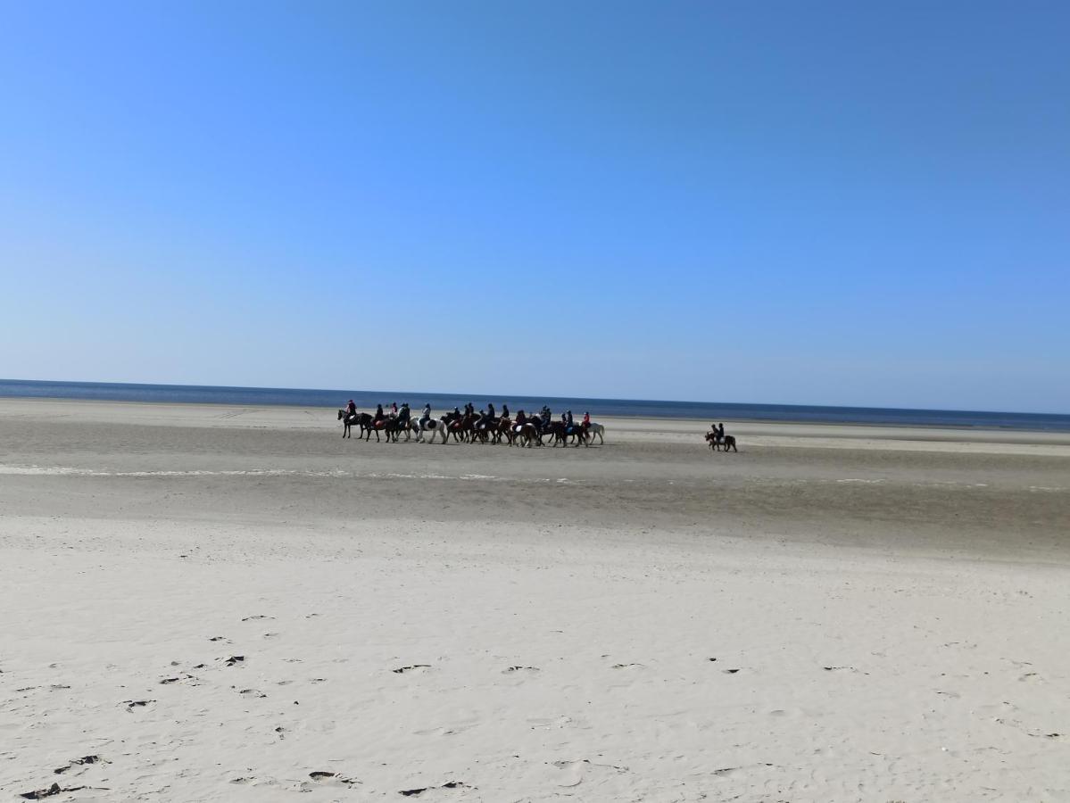 Gite Les Chalets Du Fliers Verton Meubles De Tourisme Classes 2 Etoiles Berck Dış mekan fotoğraf