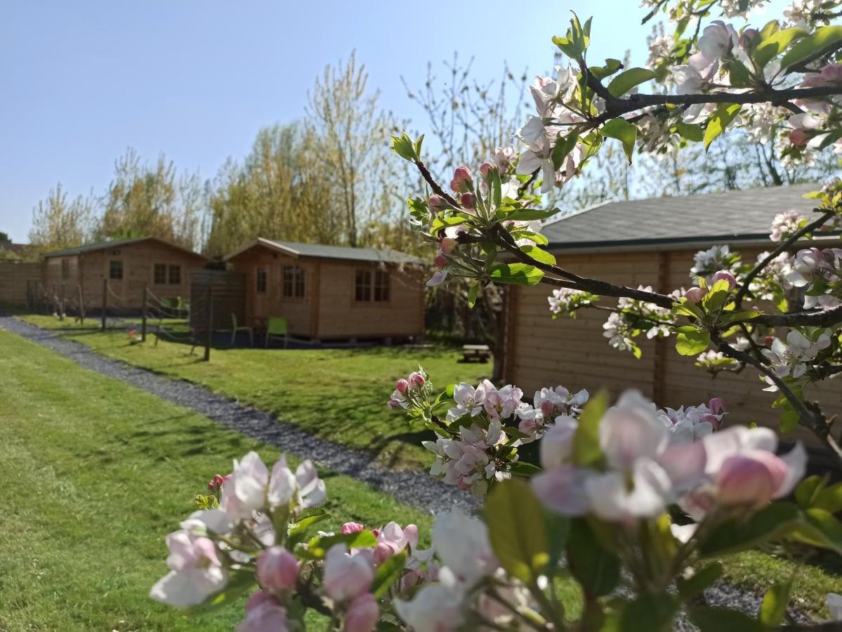 Gite Les Chalets Du Fliers Verton Meubles De Tourisme Classes 2 Etoiles Berck Dış mekan fotoğraf