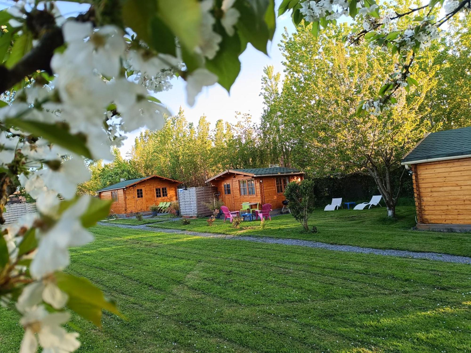 Gite Les Chalets Du Fliers Verton Meubles De Tourisme Classes 2 Etoiles Berck Oda fotoğraf